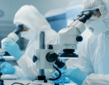 北京微生物检测公司介绍培养基的类型 